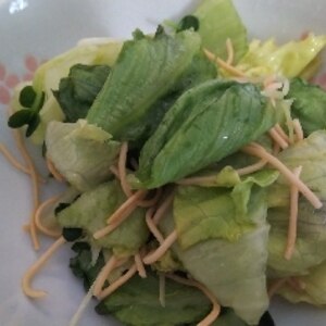 サラダ麺を使ったレタスときゅうりのサラダ